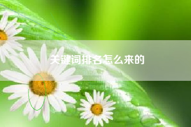 关键词排名怎么来的