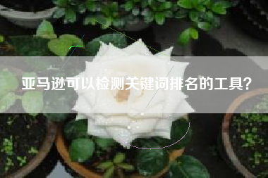 亚马逊可以检测关键词排名的工具？