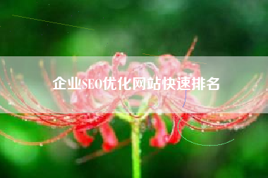 企业SEO优化网站快速排名 企业SEO优化网站快速排名
