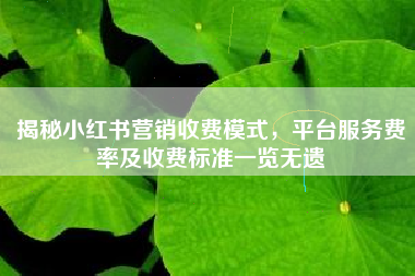 揭秘小红书营销收费模式，平台服务费率及收费标准一览无遗