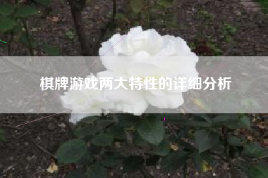 棋牌游戏两大特性的详细分析