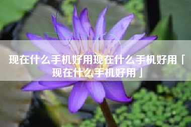 现在什么手机好用现在什么手机好用「现在什么手机好用」