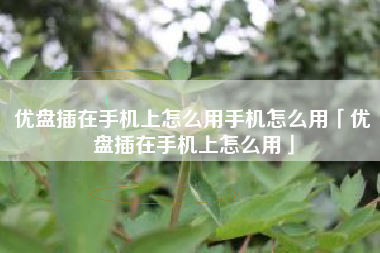 优盘插在手机上怎么用手机怎么用「优盘插在手机上怎么用」