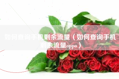 如何查询手机剩余流量（如何查询手机剩余流量oppo）