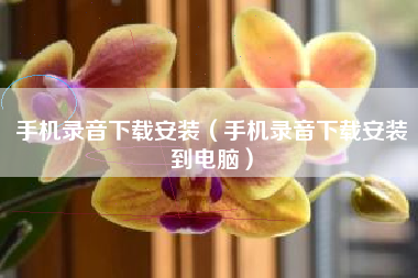 手机录音下载安装（手机录音下载安装到电脑）