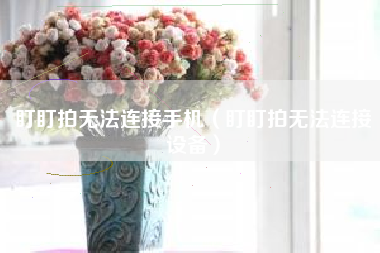 盯盯拍无法连接手机（盯盯拍无法连接设备）
