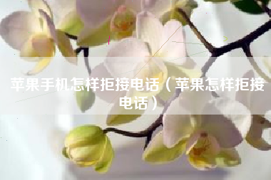 苹果手机怎样拒接电话（苹果怎样拒接电话）