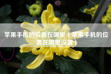 苹果手机的位置在哪里（苹果手机的位置在哪里设置）