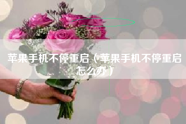 苹果手机不停重启（苹果手机不停重启怎么办）