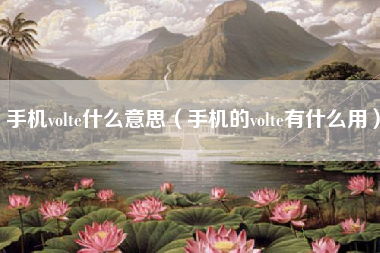 手机volte什么意思（手机的volte有什么用）