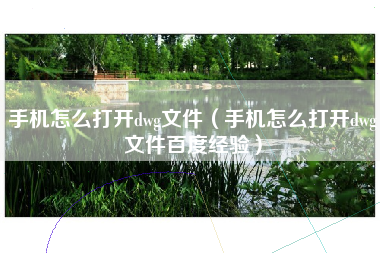手机怎么打开dwg文件（手机怎么打开dwg文件百度经验）