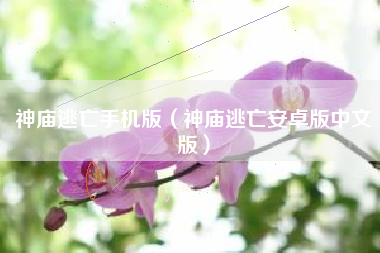 神庙逃亡手机版（神庙逃亡安卓版中文版）