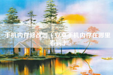 手机内存修改器（安卓手机内存在哪里看到）
