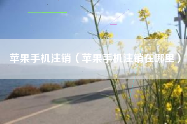 苹果手机注销（苹果手机注销在哪里）