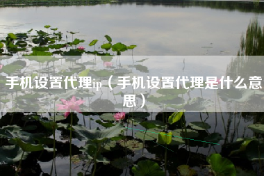 手机设置代理ip（手机设置代理是什么意思）