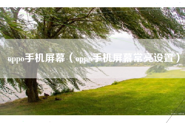 oppo手机屏幕（oppo手机屏幕常亮设置）