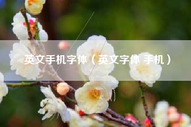英文手机字体（英文字体 手机）