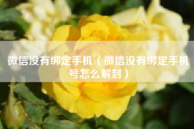 微信没有绑定手机（微信没有绑定手机号怎么解封）