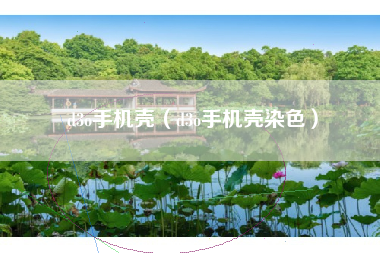 d3o手机壳（d3o手机壳染色）
