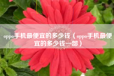 oppo手机最便宜的多少钱（oppo手机最便宜的多少钱一部）