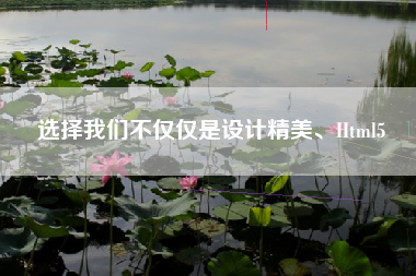 选择我们不仅仅是设计精美、Html5