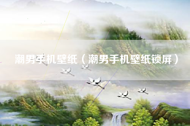 潮男手机壁纸（潮男手机壁纸锁屏）