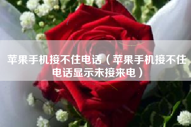 苹果手机接不住电话（苹果手机接不住电话显示未接来电）