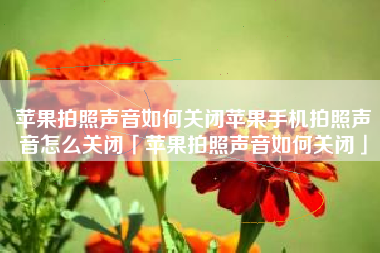 苹果拍照声音如何关闭苹果手机拍照声音怎么关闭「苹果拍照声音如何关闭」