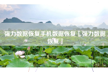 强力数据恢复手机数据恢复「强力数据恢复」
