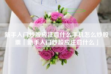 新手入门炒股应注意什么手机怎么炒股票「新手入门炒股应注意什么」